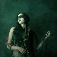 photo : Photo N:2512326 | photographer : Jarosław Datta