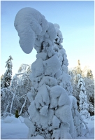 photo : Один...позабыт,... | photographer : Piter Chinnoff