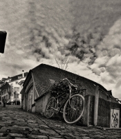 photo : безымянный | photographer : Владимир Ситников