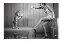 photo : For Your Pleasu... | photographer : iGuanaaNNa