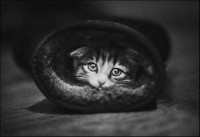 photo : машсла | photographer : yoyk