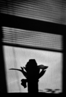 photo : The Day of the ... | photographer : Barnstokr