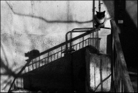 photo : среди миров | photographer : yoyk