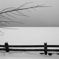 photo : Бледный ветер. | photographer : Barnstokr