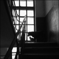 photo : среди миров | photographer : yoyk