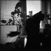 photo : среди миров | photographer : yoyk