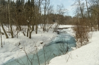 photo : Photo N:2552344 | photographer : vold
