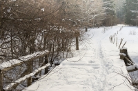 photo : Photo N:2557265 | photographer : vold