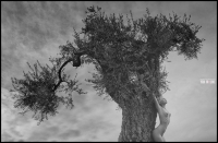 photo : *** | photographer : Ян (yanmcline ™) Маклайн