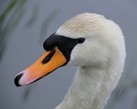photo : * | photographer : Nigol