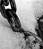 photo : Nothing is so d... | photographer : Katja