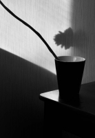 photo : Цветок. | photographer : Barnstokr