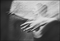 photo : * | photographer : O.S.O.T.T.