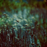 photo : -- | photographer : Aramio Pazzo