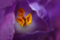 photo : * | photographer : Nigol