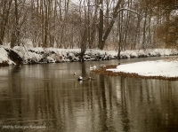 photo : on the river | photographer : Katja