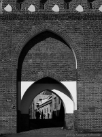 photo : lines | photographer : Katja
