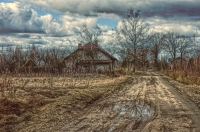 photo : Photo N:2574084 | photographer : vold