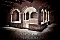photo : La Calma | photographer : Antoni Coll Lazaro