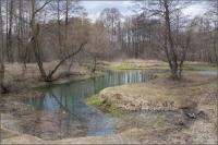 photo : Весенняя 2 | photographer : Igor Ovsyannikov