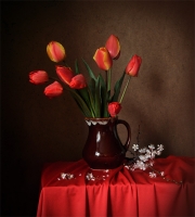 photo : *** | photographer : Зоя Сорока