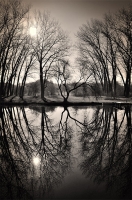 photo : * | photographer : Назарий