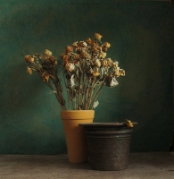 photo : ▲▼∆ | photographer : ๑TORRTILLA (зовут Наташей)