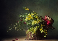 photo : ~ ~ | photographer : Imanova Viktoria