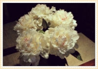 photo : Из серии"С... | photographer : tati