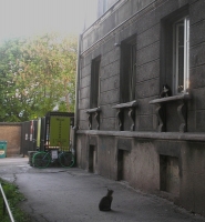 photo : Ромео и Джульетта | photographer : ๑TORRTILLA (зовут Наташей)