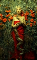 photo : "Лето" | photographer : Дроздин Александр
