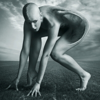 photo : 330 | photographer : simon siwak