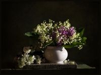 photo : Ландыши | photographer : Marfa-Mariya