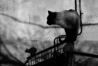 photo : среди миров | photographer : yoyk