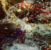 photo : ○ | photographer : David Galstyan