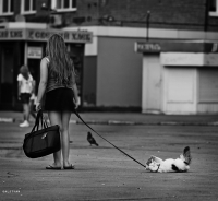 photo : ○ | photographer : David Galstyan