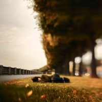 photo: Autumn has come