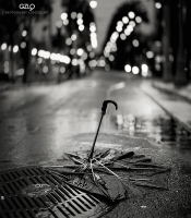 photo : одиночество | photographer : Potography & Digital Art
