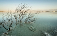 photo : Мертвое море | photographer : Ilia Pritkin