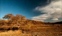 photo :  Machtesh Ramon... | photographer : Ilia Pritkin