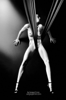 photo : ........... | photographer : Sergey P. Iron